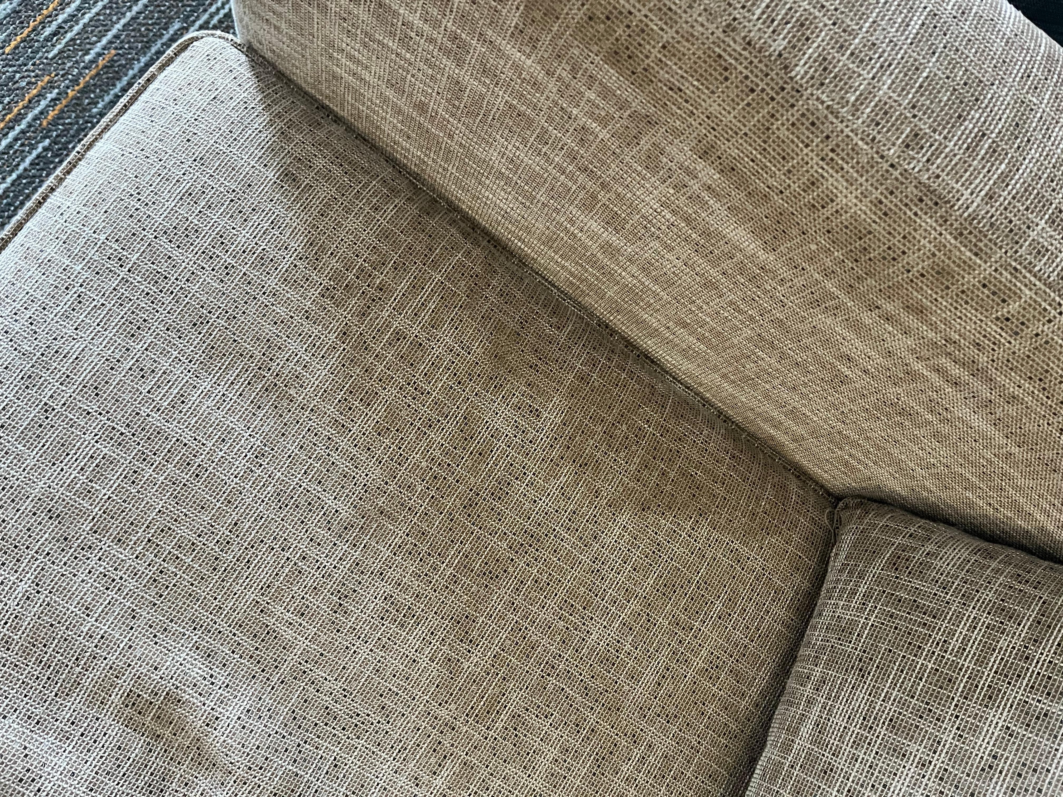 Another lg stain on sofa