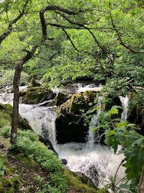 Part of Colwith Force