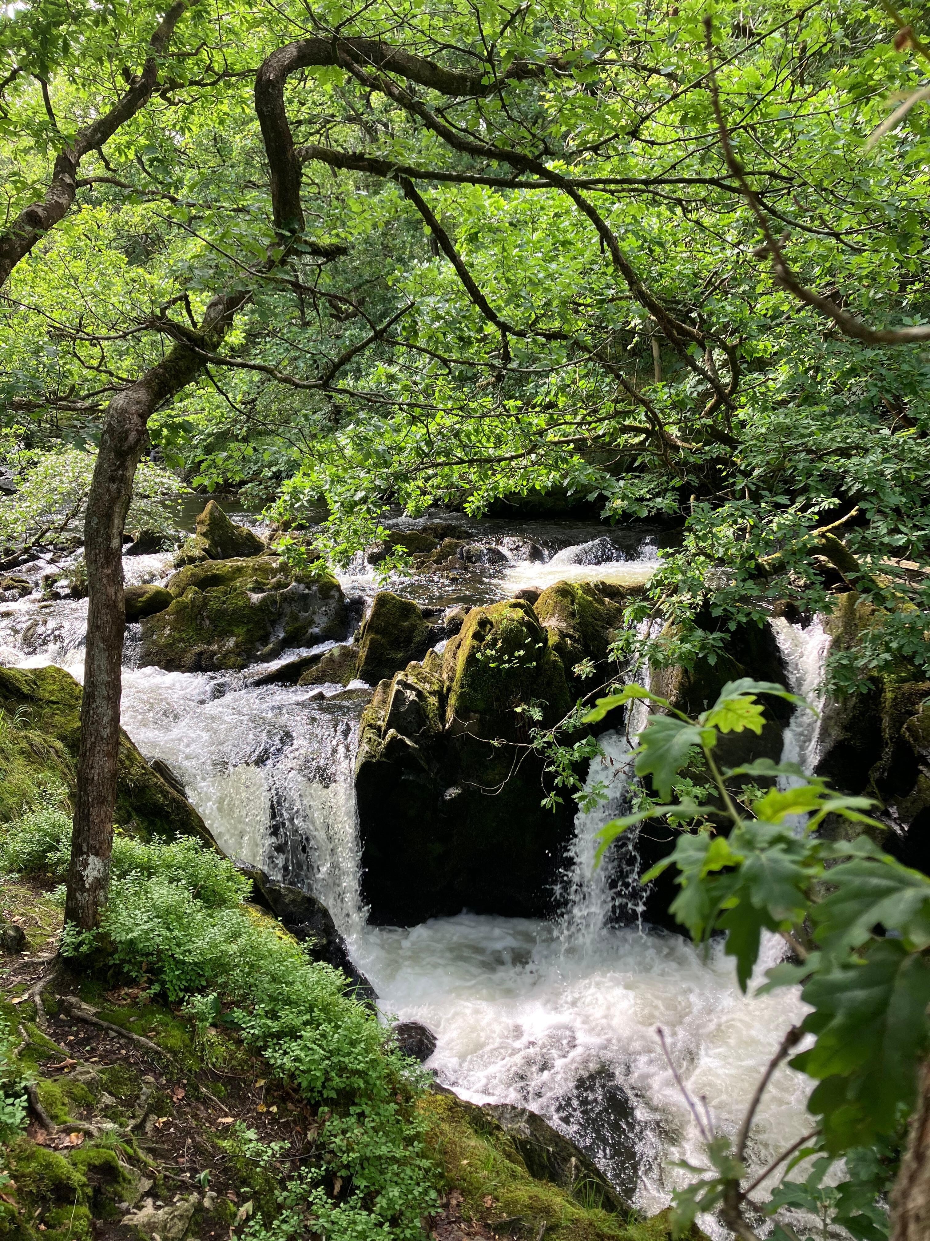 Part of Colwith Force