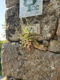 The house number :)