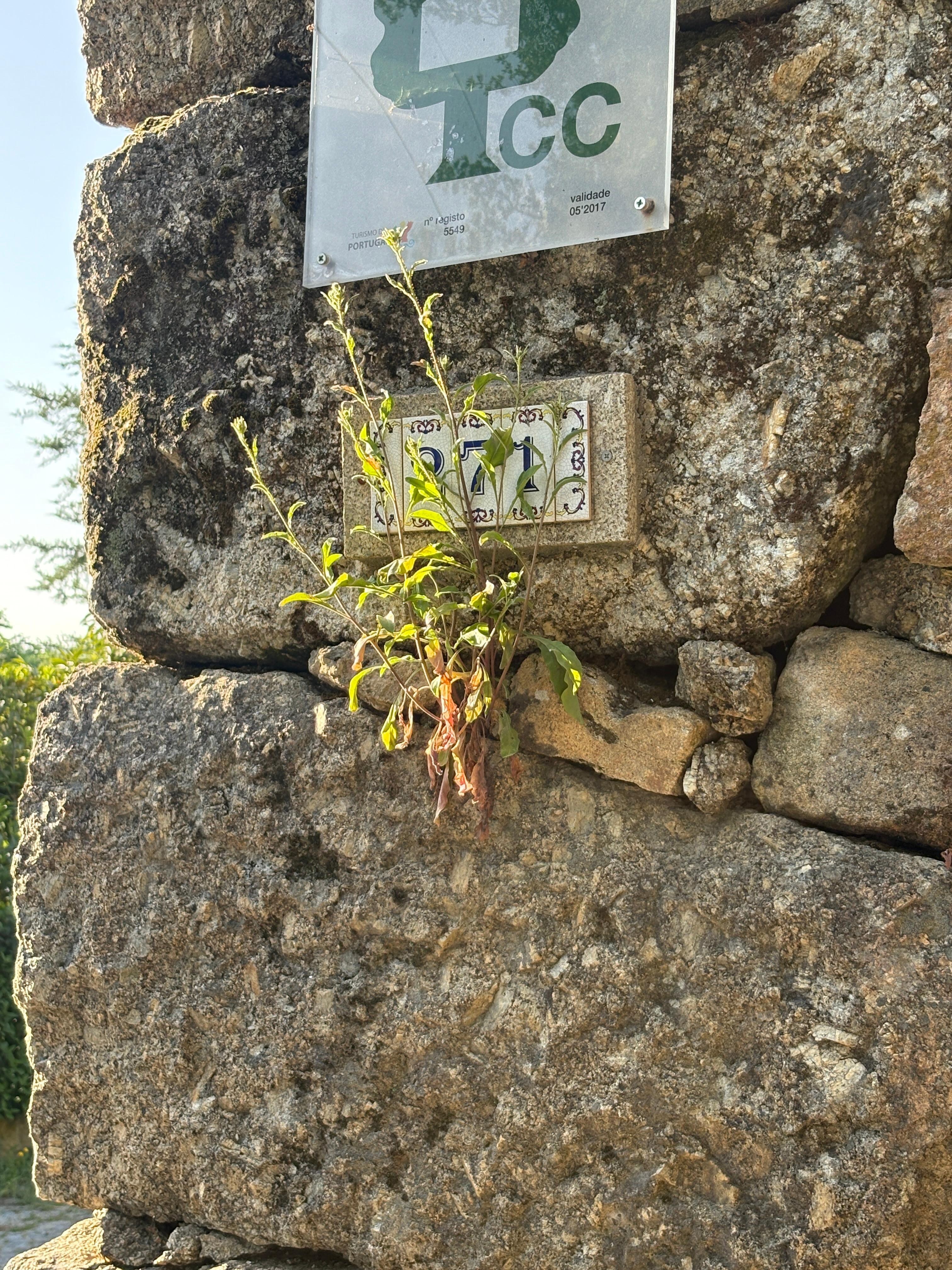 The house number :)