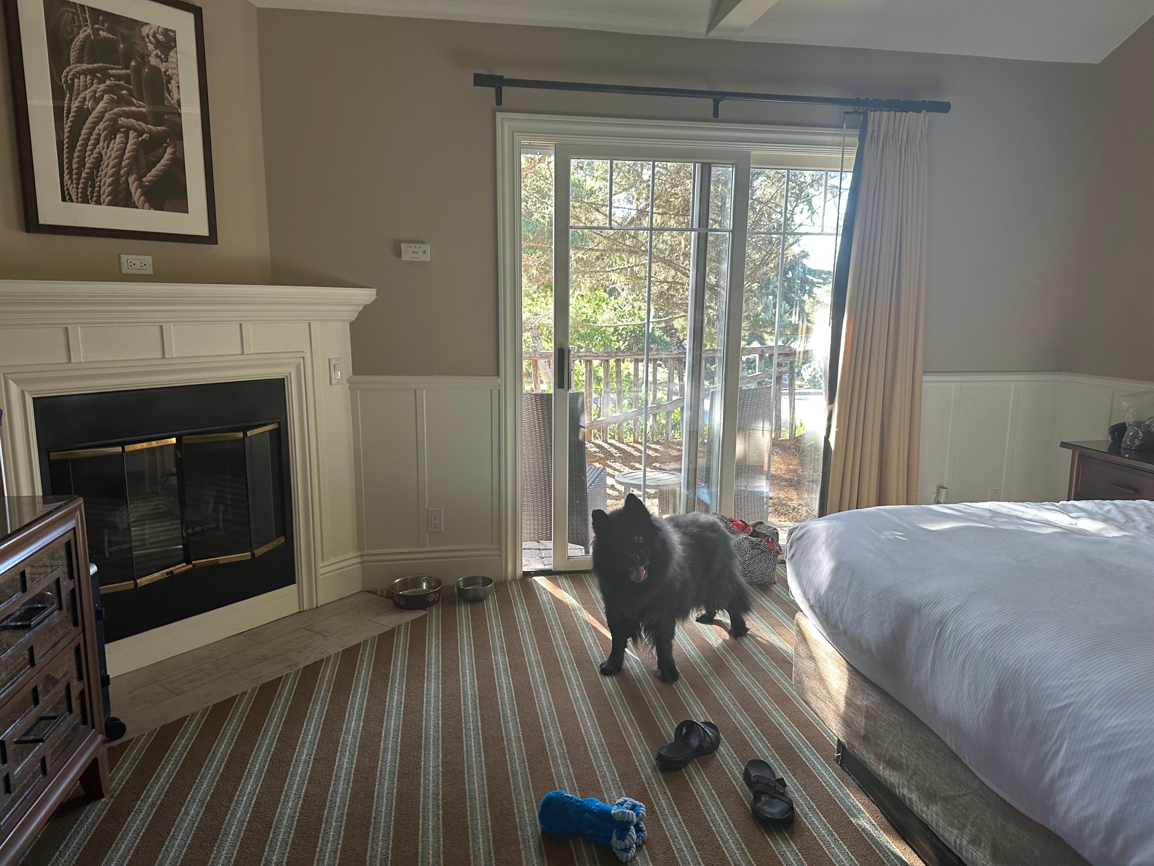 Cottage room n cozy patio with fireplace . 