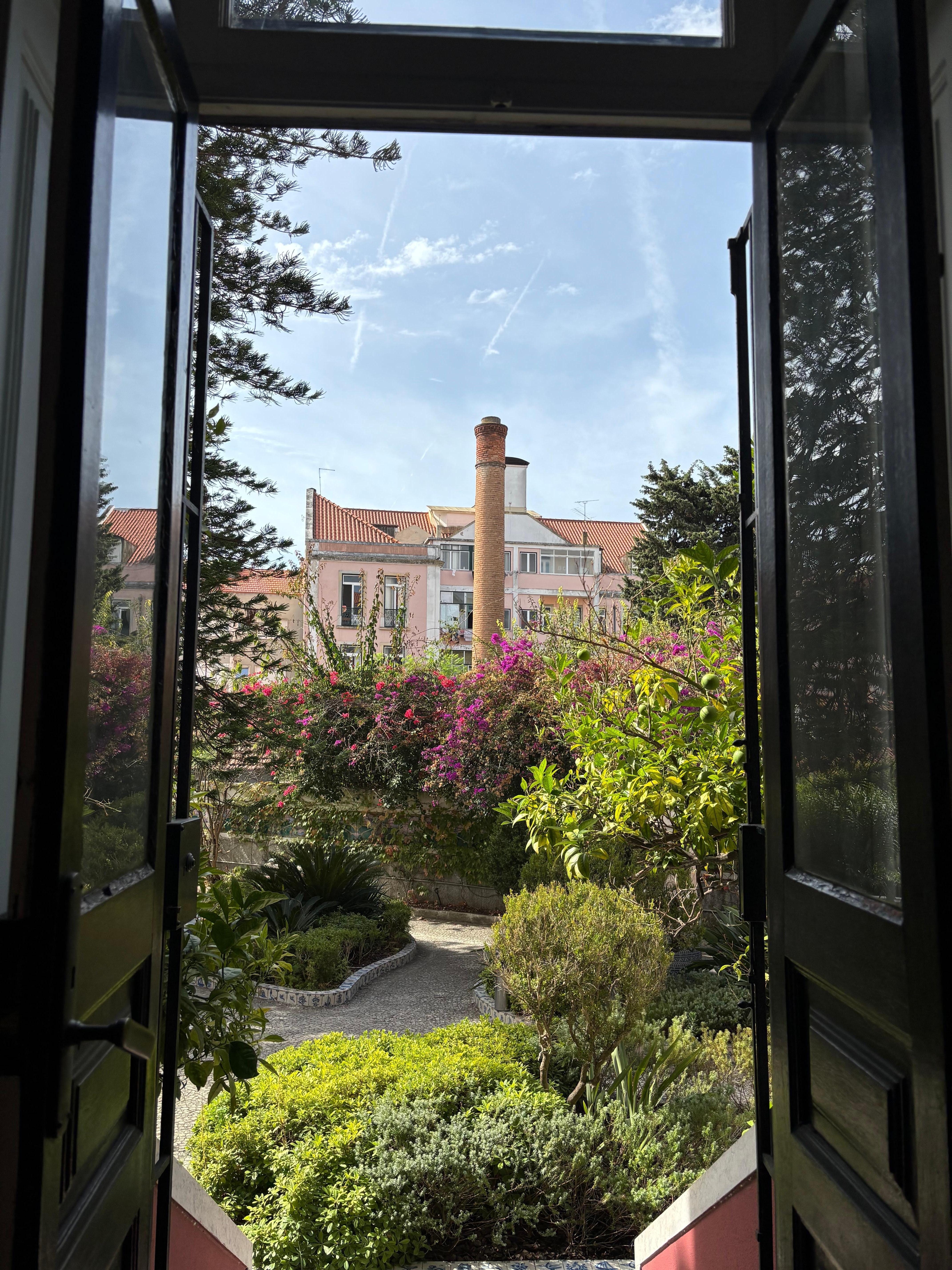 View from the kitchen/dining area 
