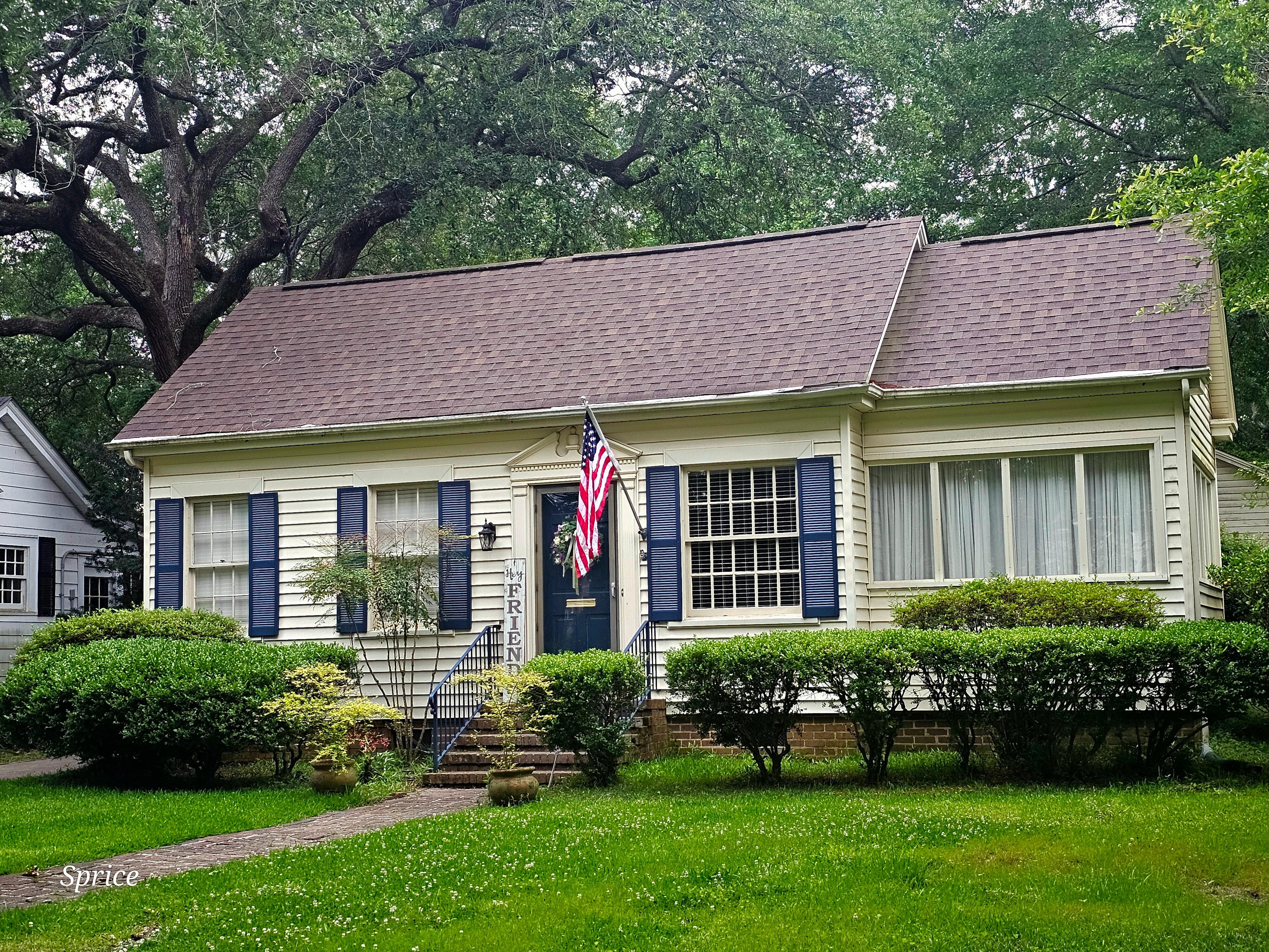 Front view