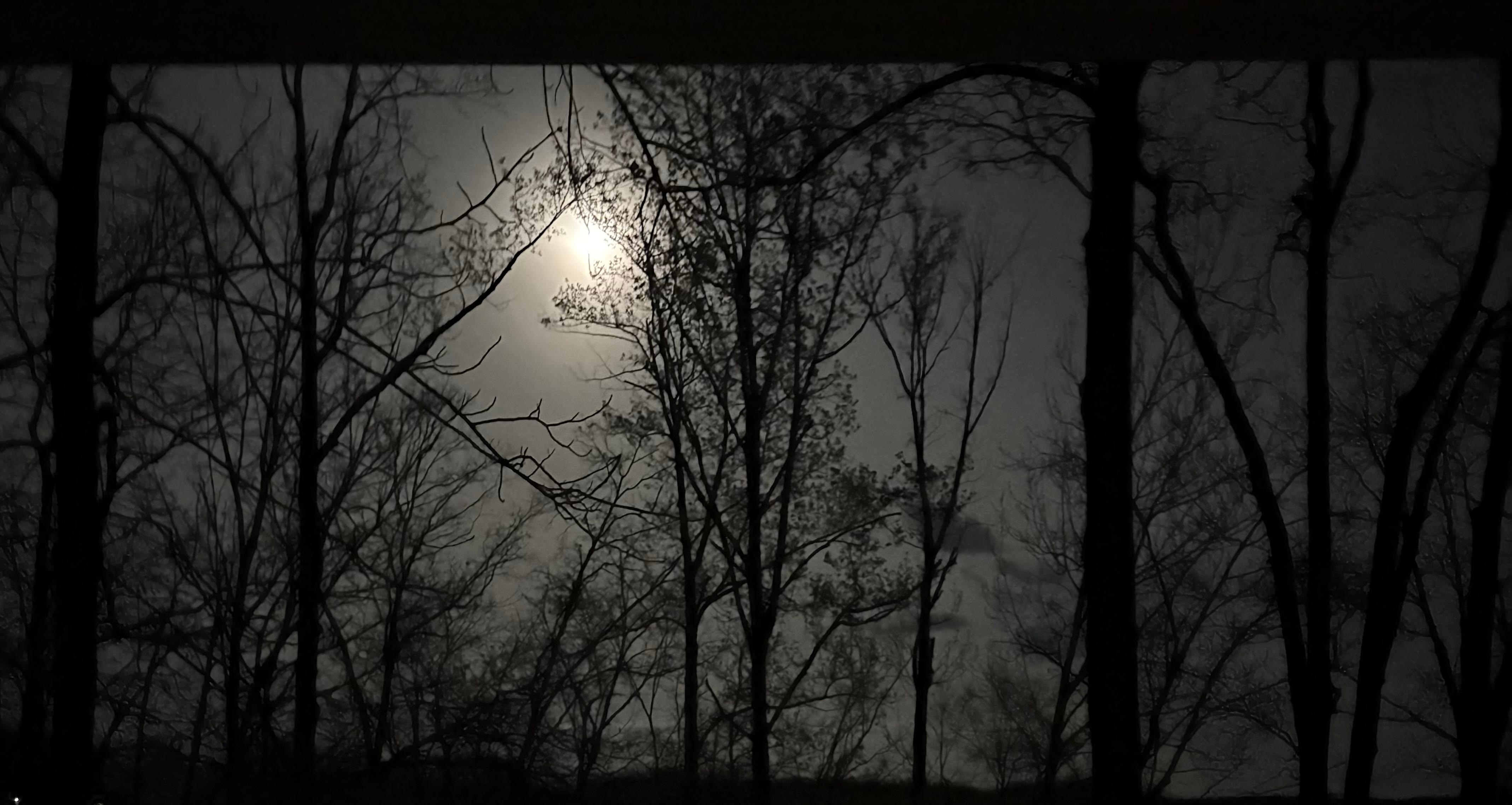 Night view from upper deck