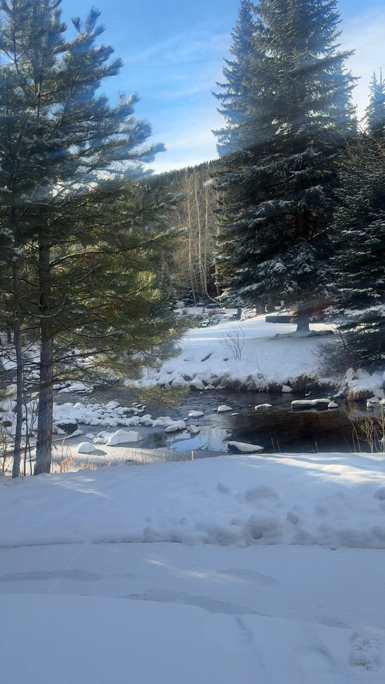 The view from our front door 🩵