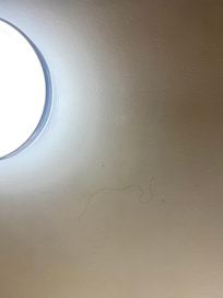 Ceiling