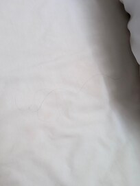 Hair in the sheets when I arrived