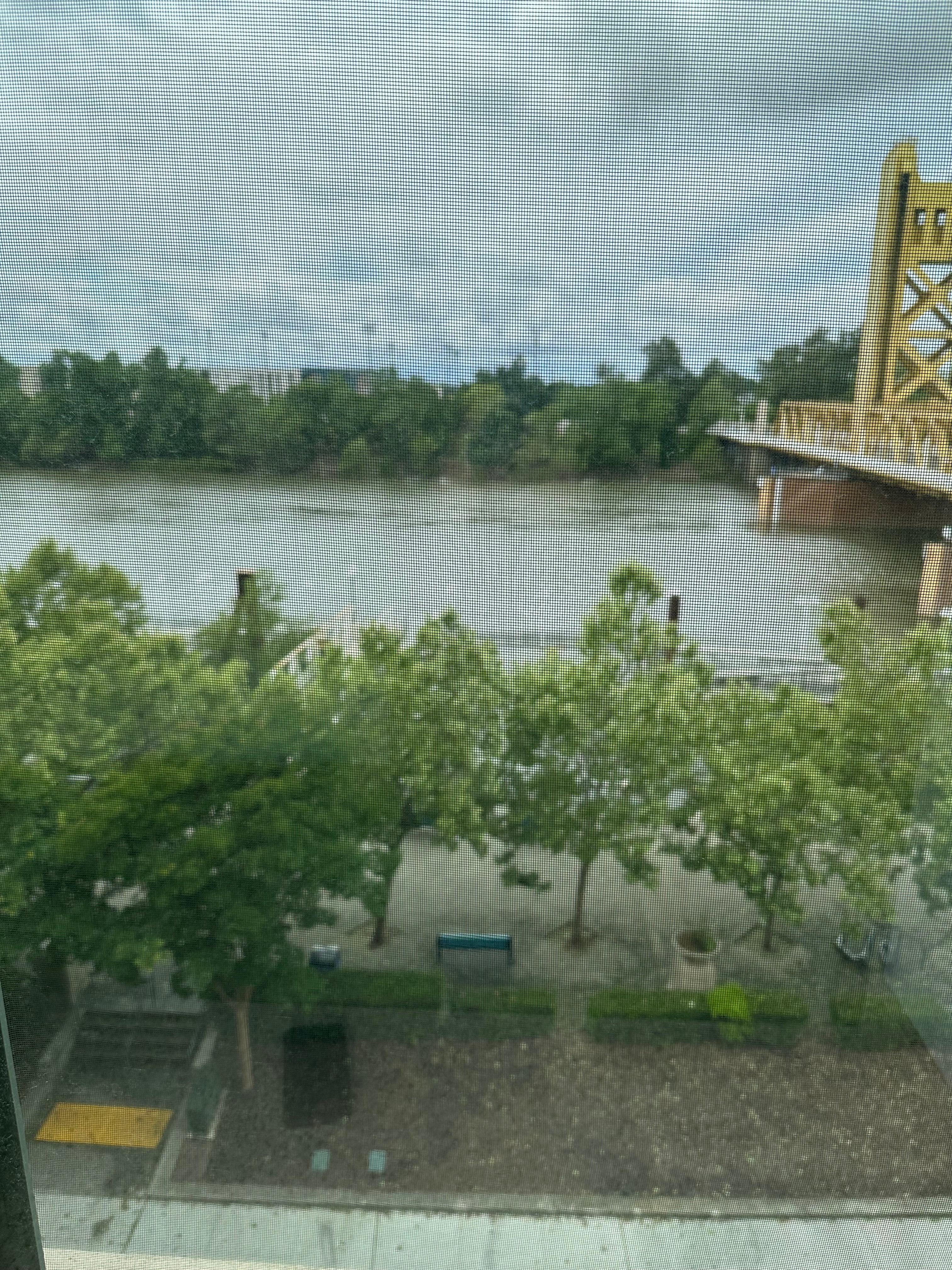 Sacramento River 