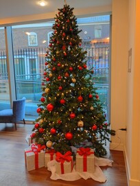 Beautiful Christmas tree makes it more Christmas