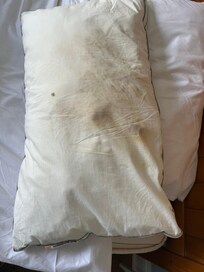 Dirty blood stained pillow
