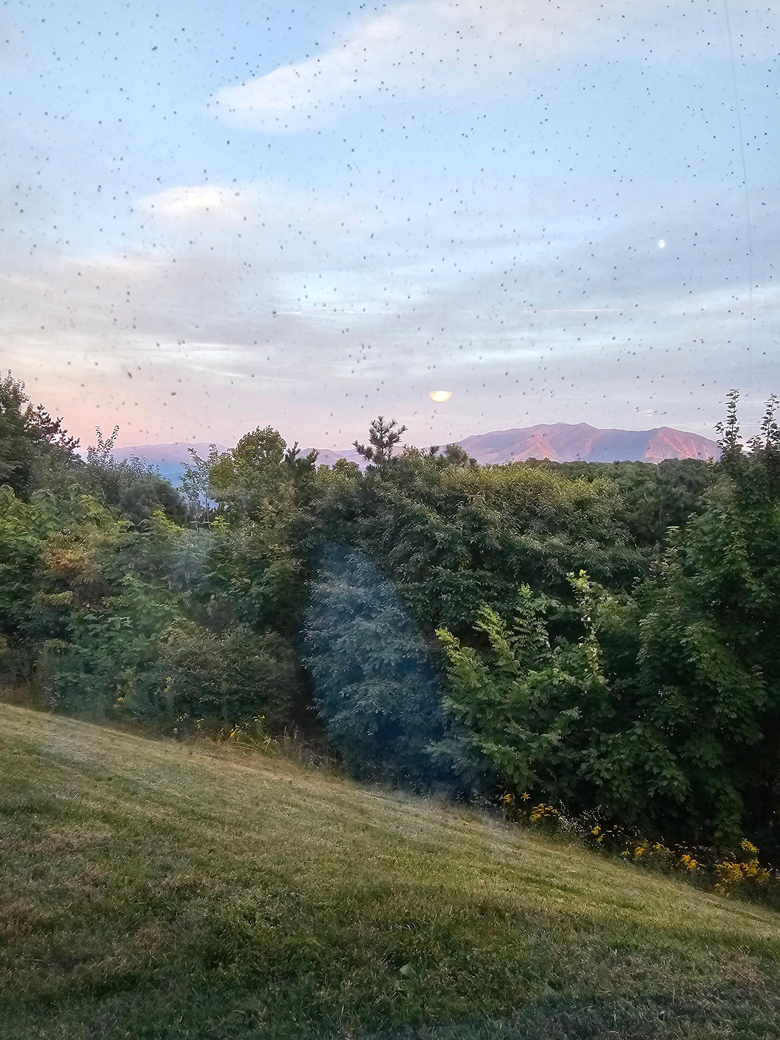 View from the window