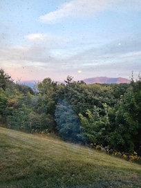 View from the window