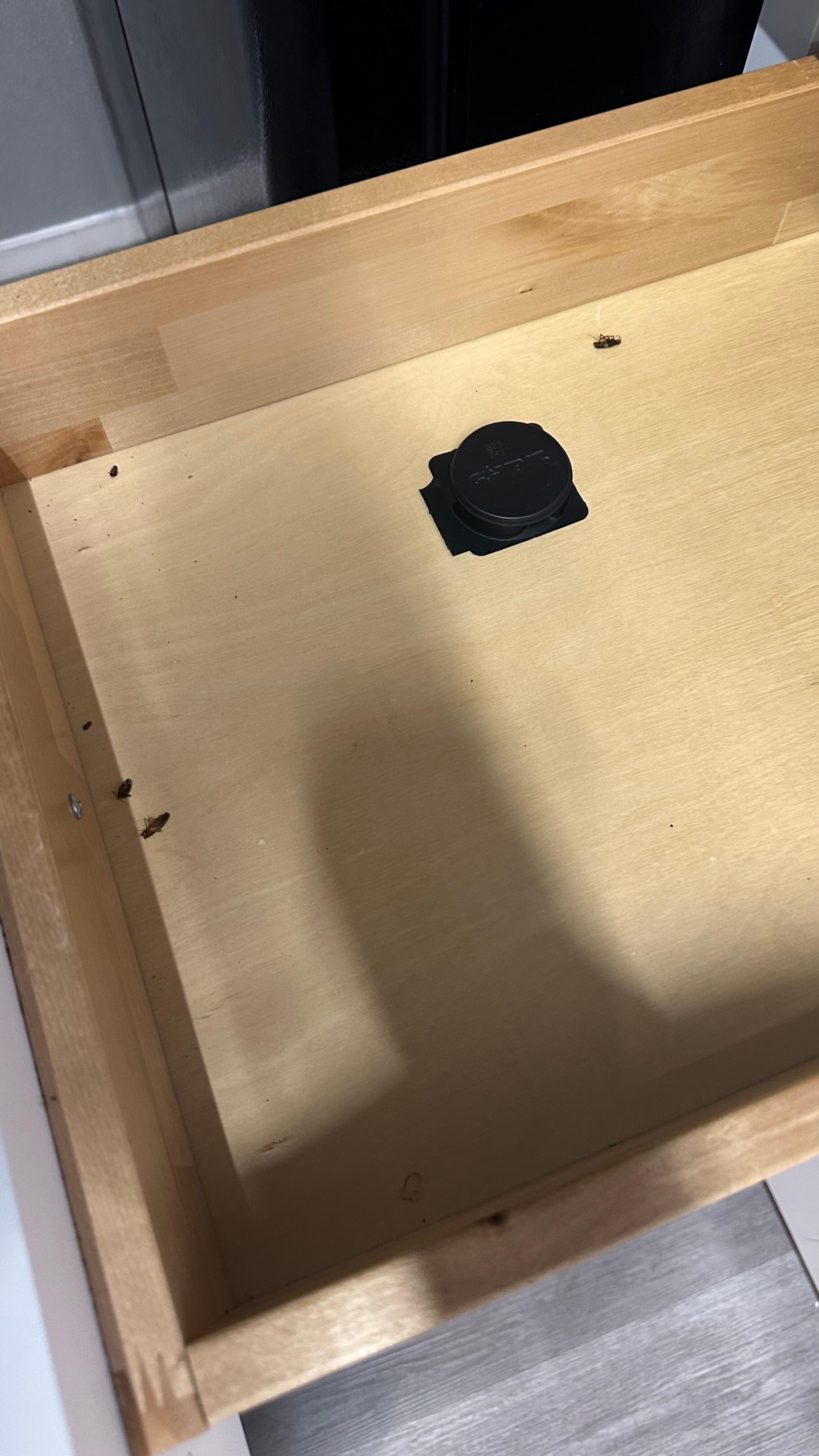 After spraying in the drawer 