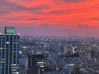 Mt. Fuji from my hotel room!