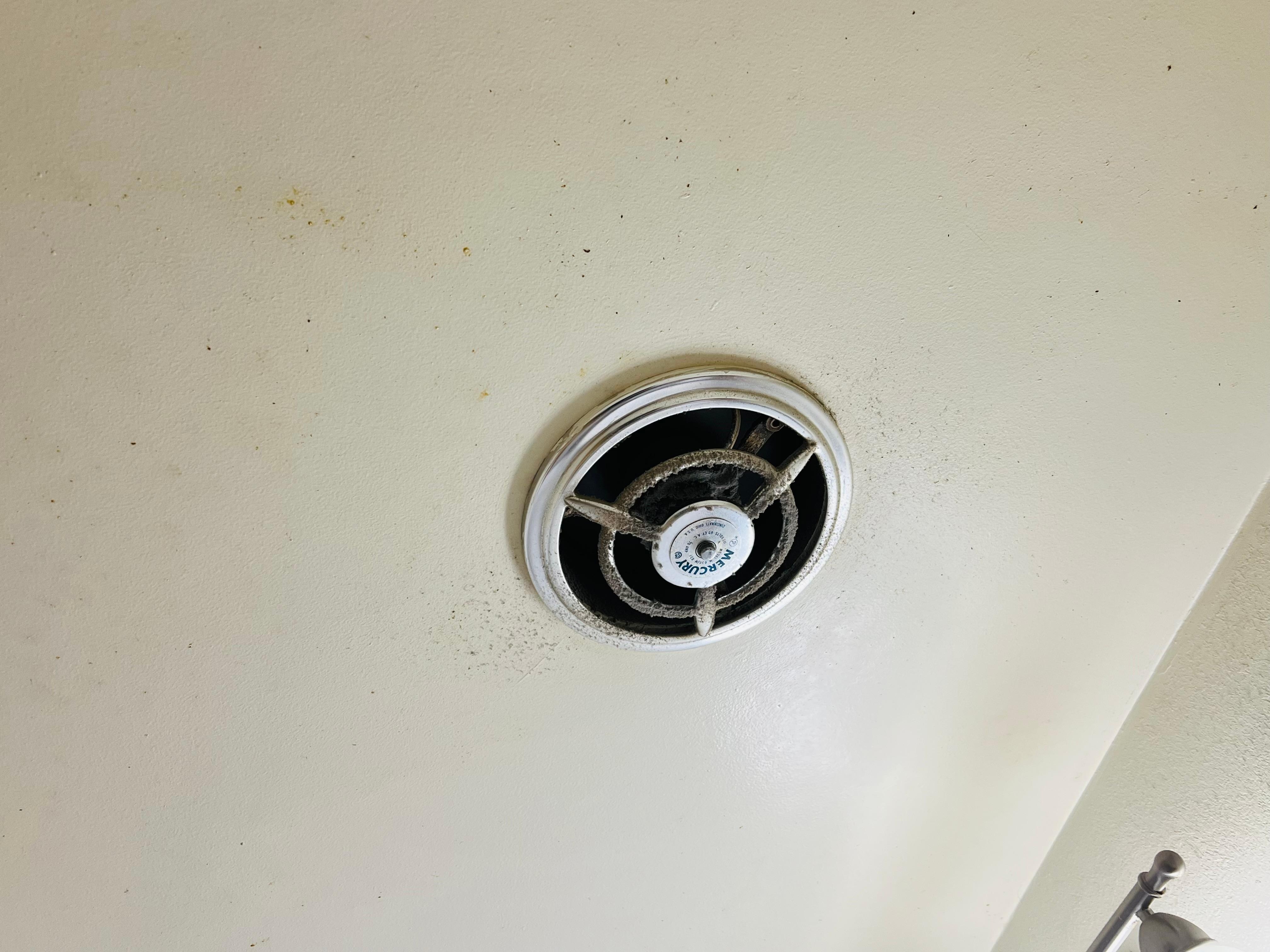 Bathroom exhaust dust