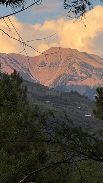 View from the front window