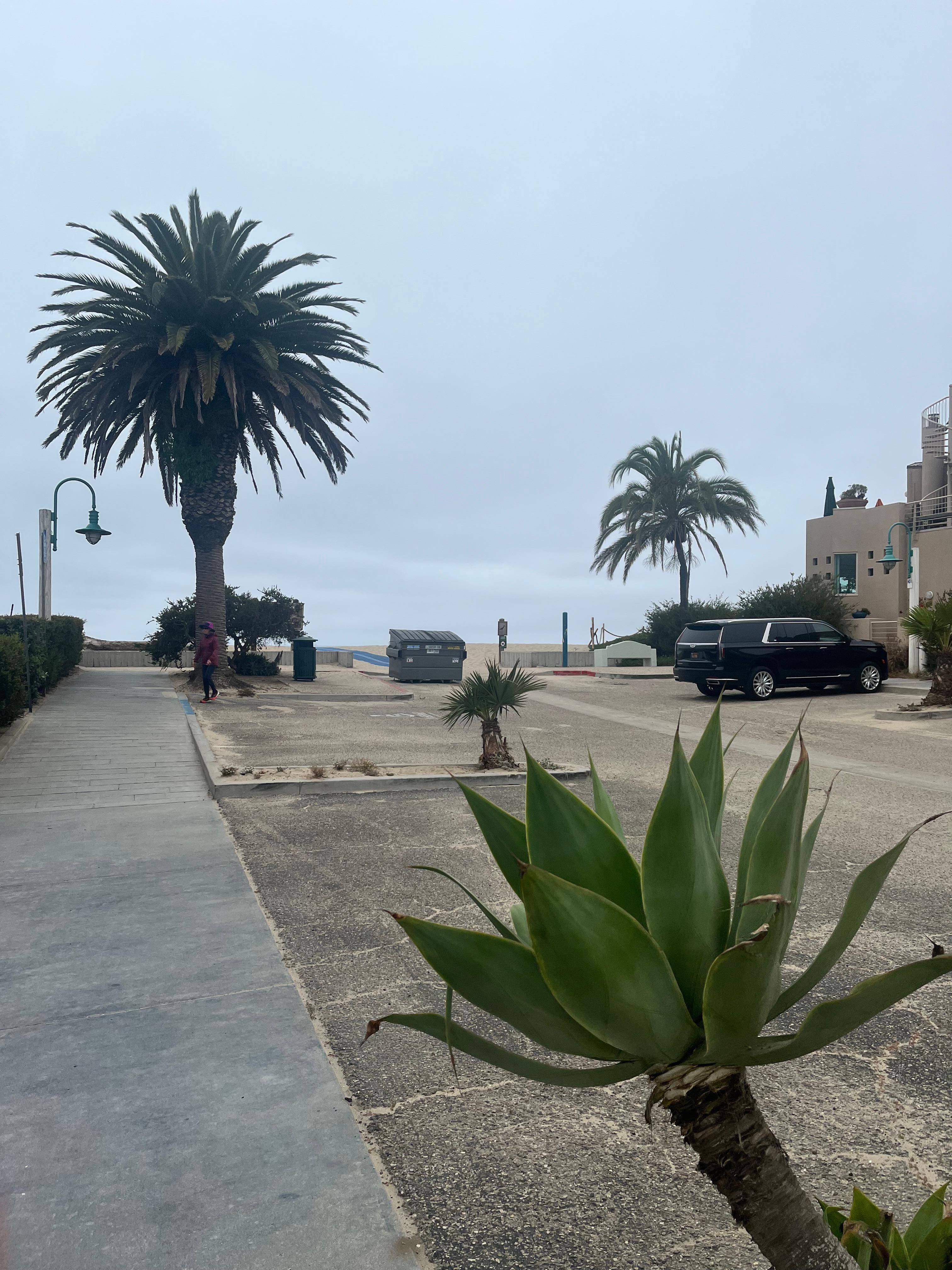 Very close to the beach