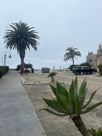 Very close to the beach