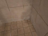 Needs regrouting in shower