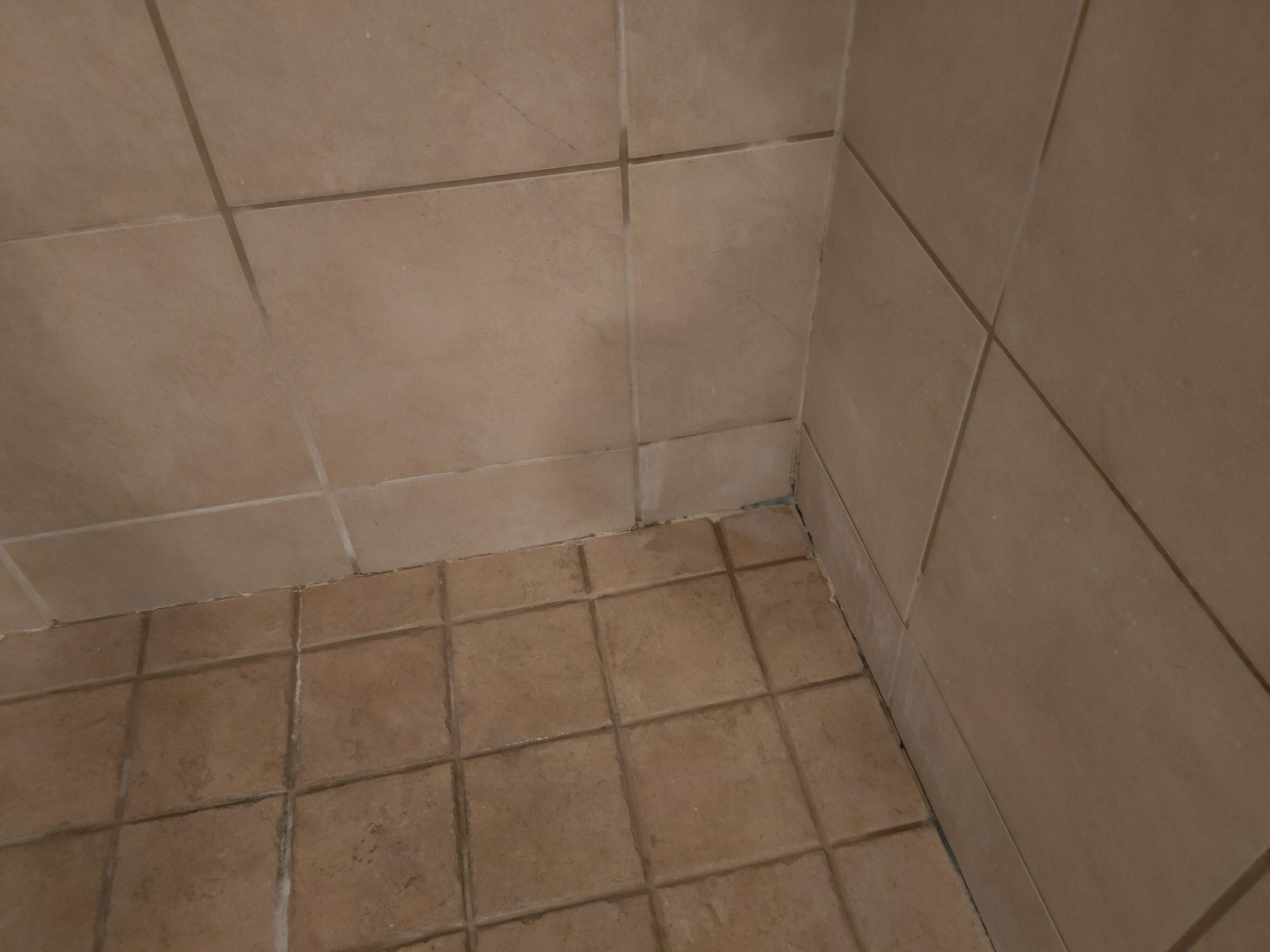Needs regrouting in shower 