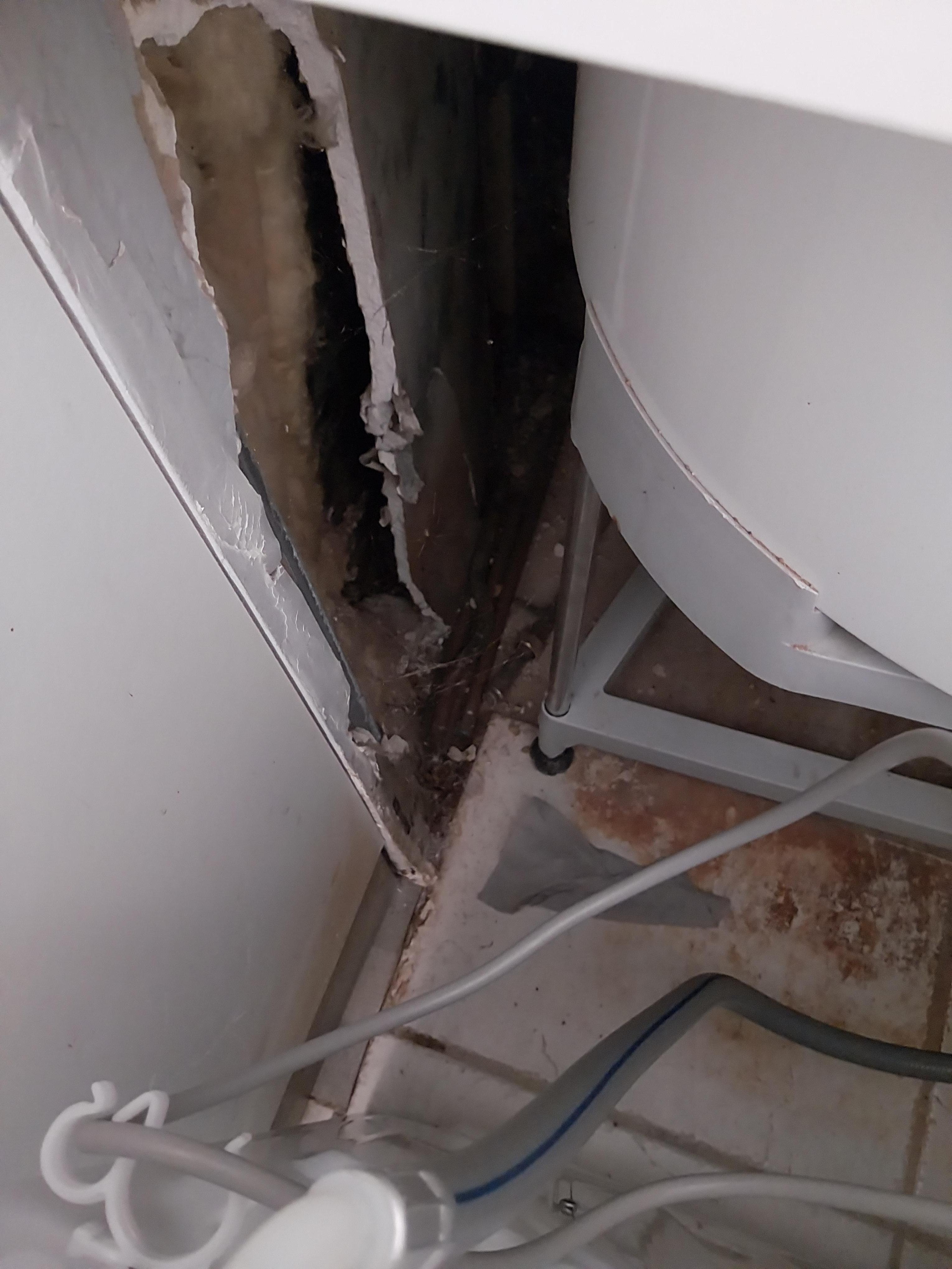 Coin chauffe-eau derrière la machine à laver.