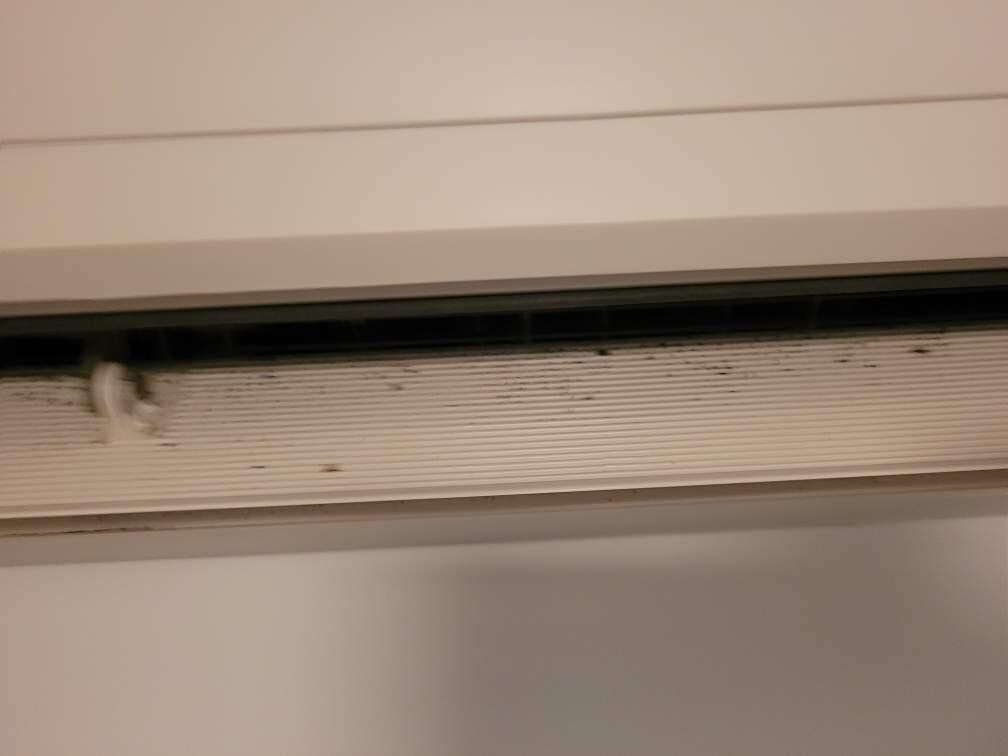 dust and dirt from the AC's, which is pretty unsanitary