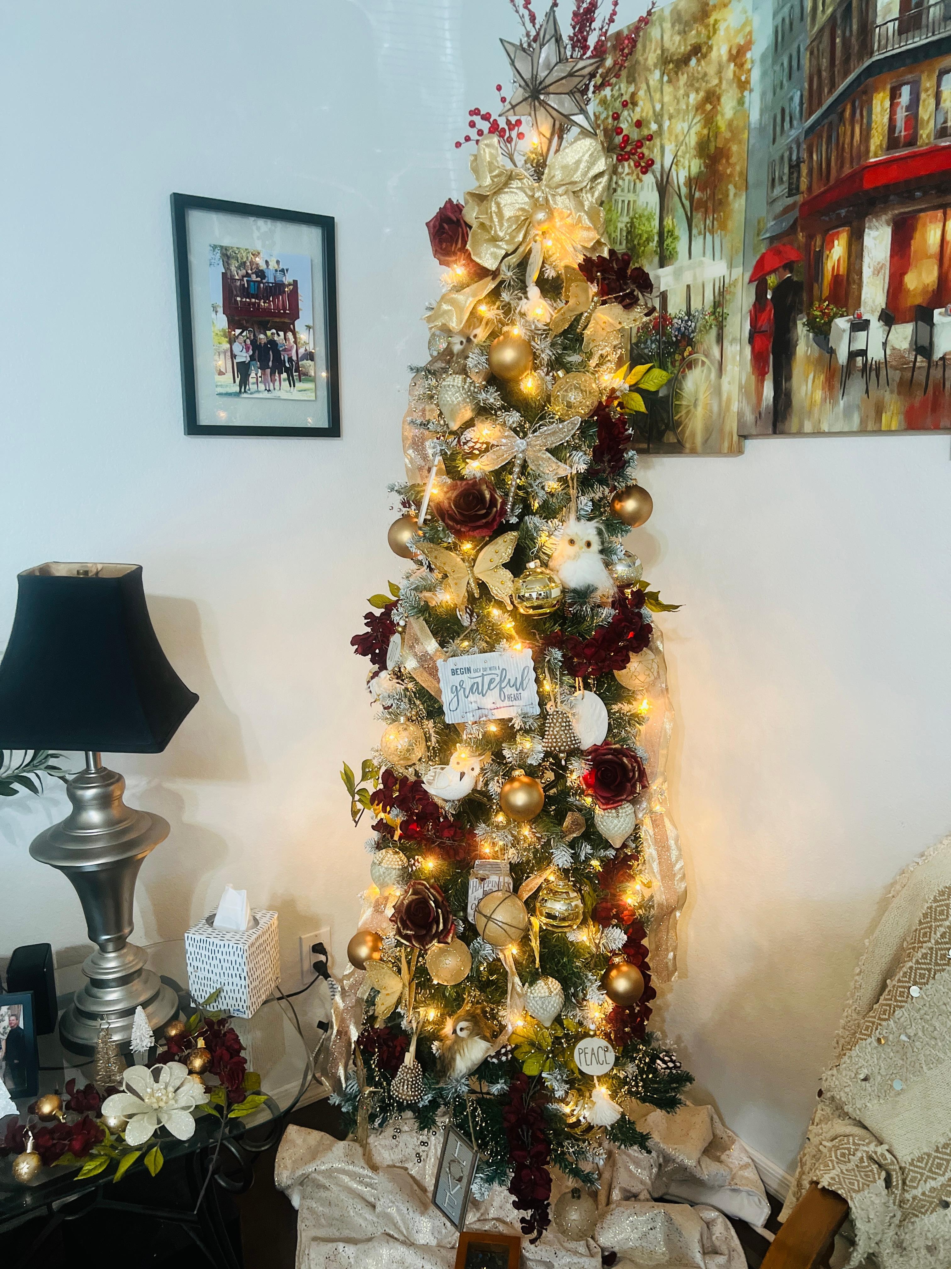 We took family pictures in the backyard. 