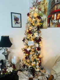 We took family pictures in the backyard.