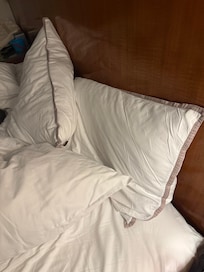 Roach on the pillows where my 1 year old was asleep