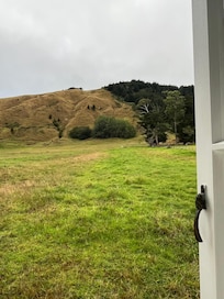 Hills and llamas out back