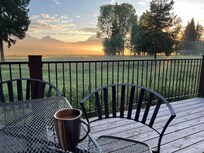 The view over morning coffee.