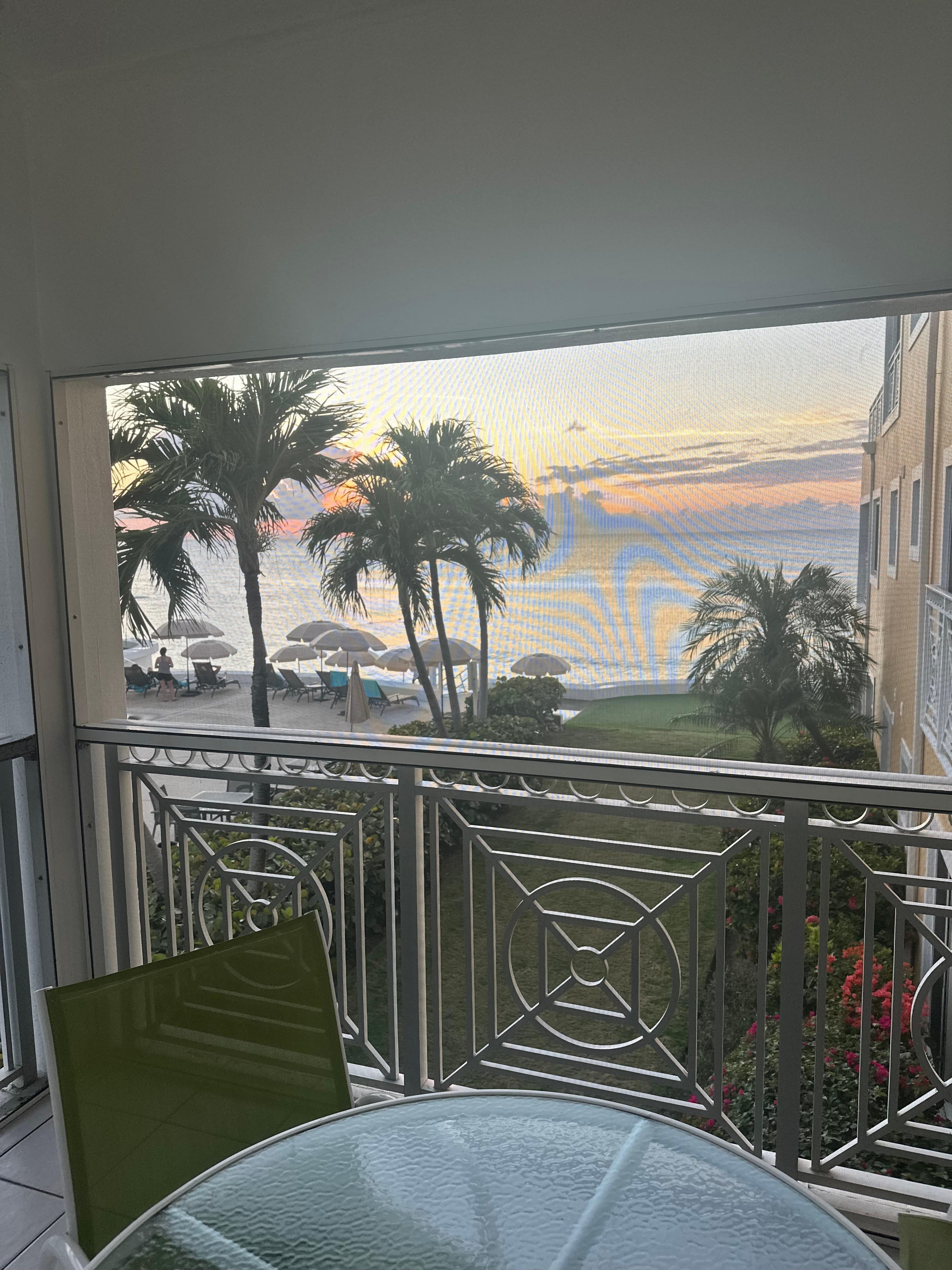 View from screen balcony