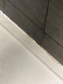 Mould in the shower
