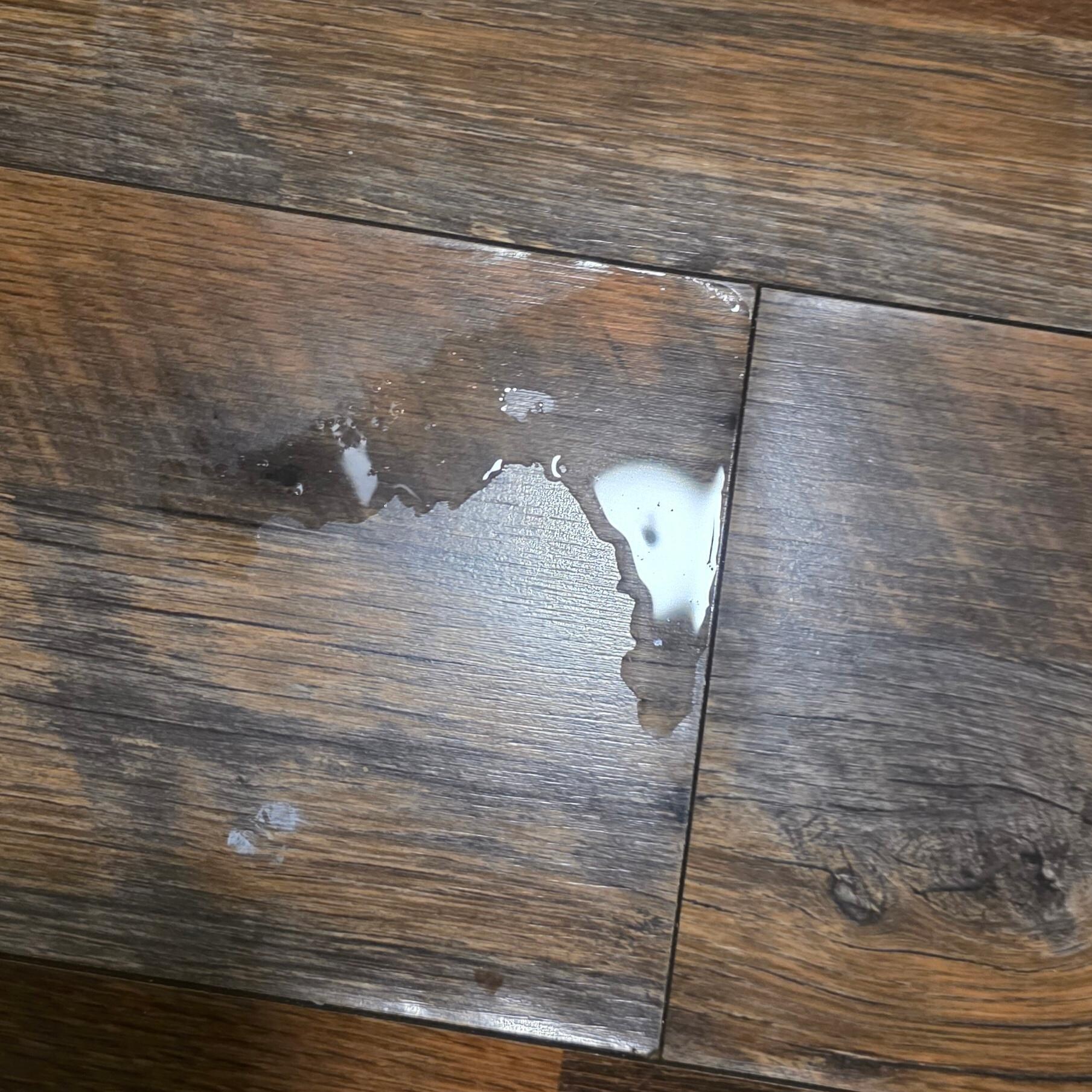 Water on the floor in the morning 