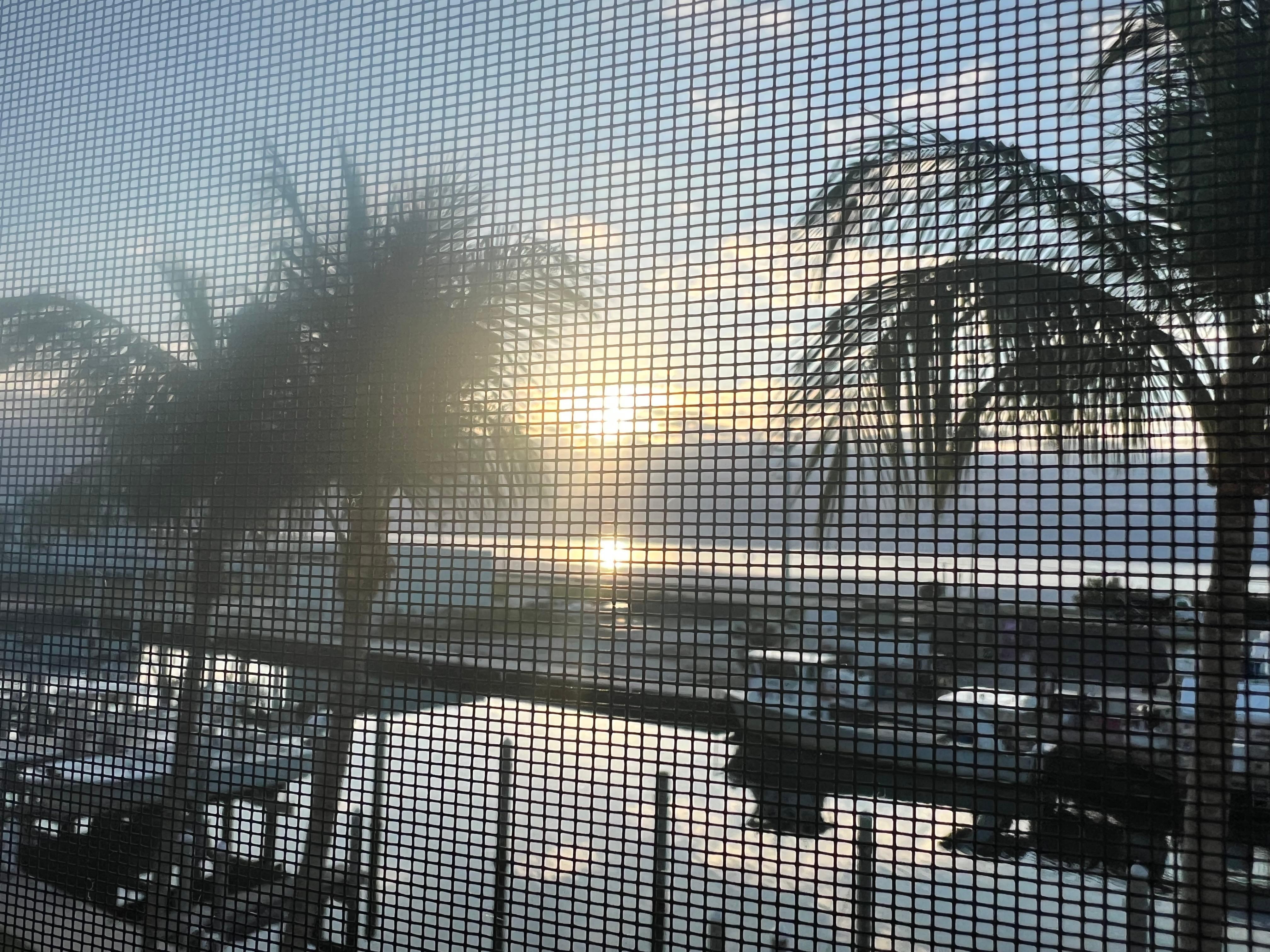 From screened in porch. 