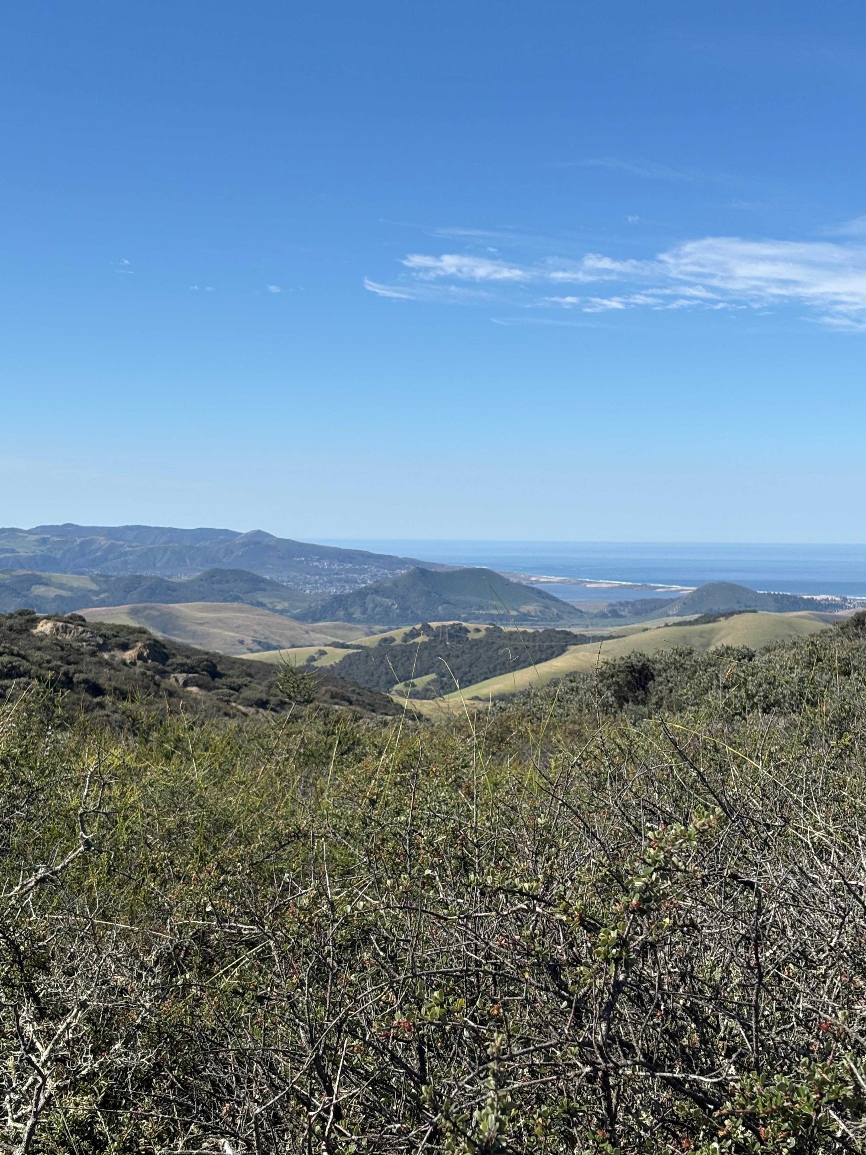 Atascadero hike