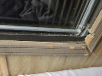 Broken, rotting, dirty windows.