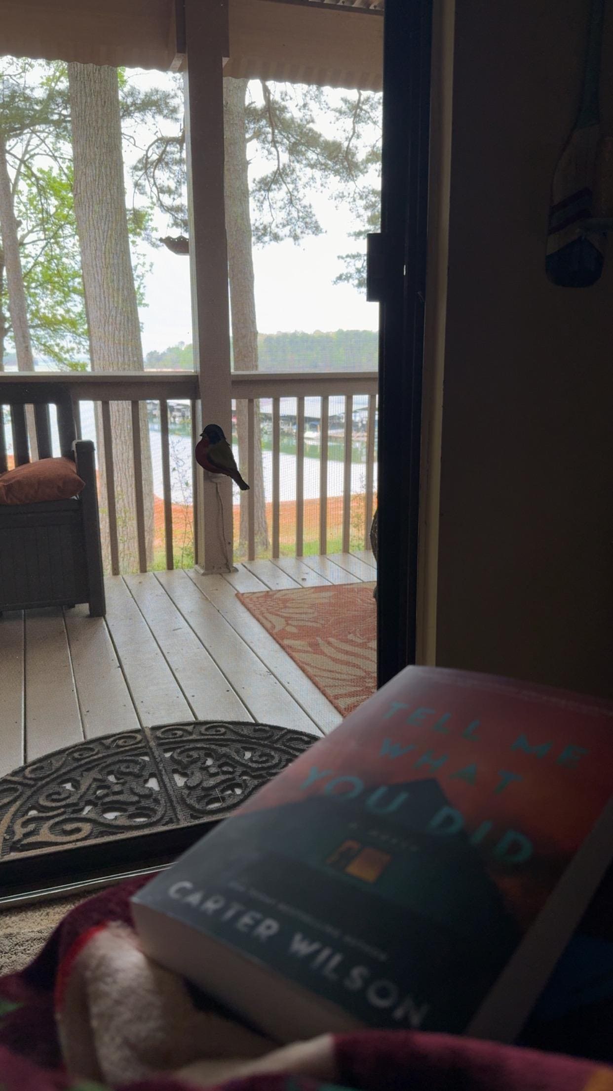 Great view to read a good book!