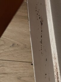 Black mold on baseboard hidden next to nightstand
(Room 927)
