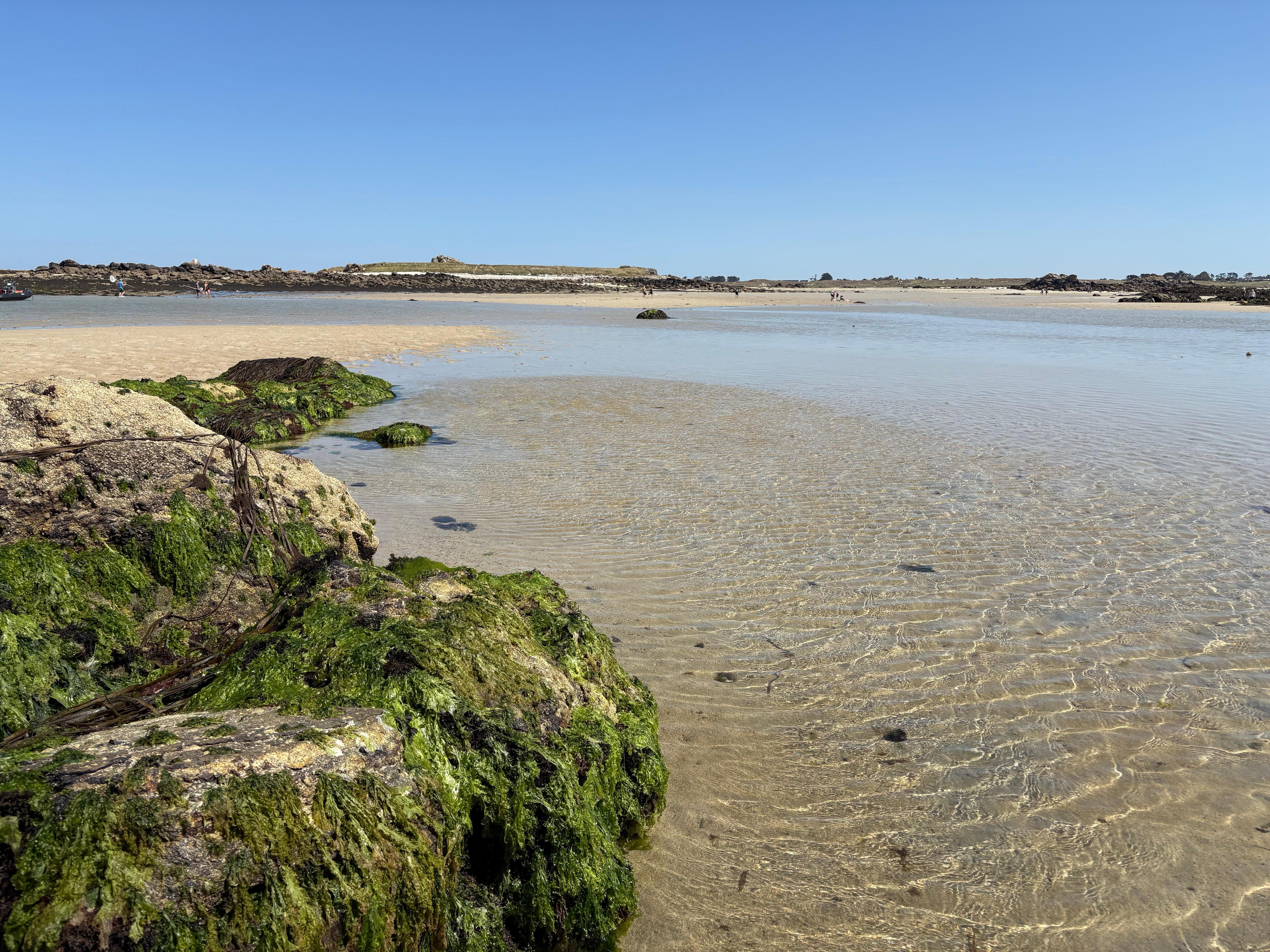 Sur la presqu’île de sainte Marguerite 
