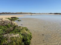 Sur la presqu’île de sainte Marguerite