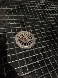 Hair in the drain we were welcomed to.