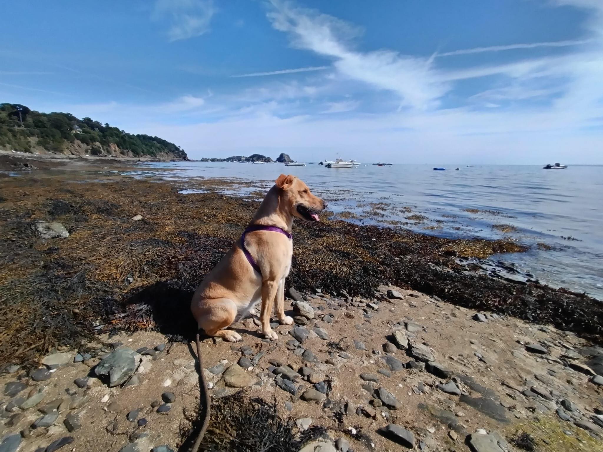 Petite balade sur les bords de plage