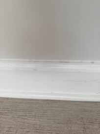 Filthy baseboard.