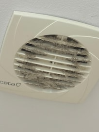 Batroom fan