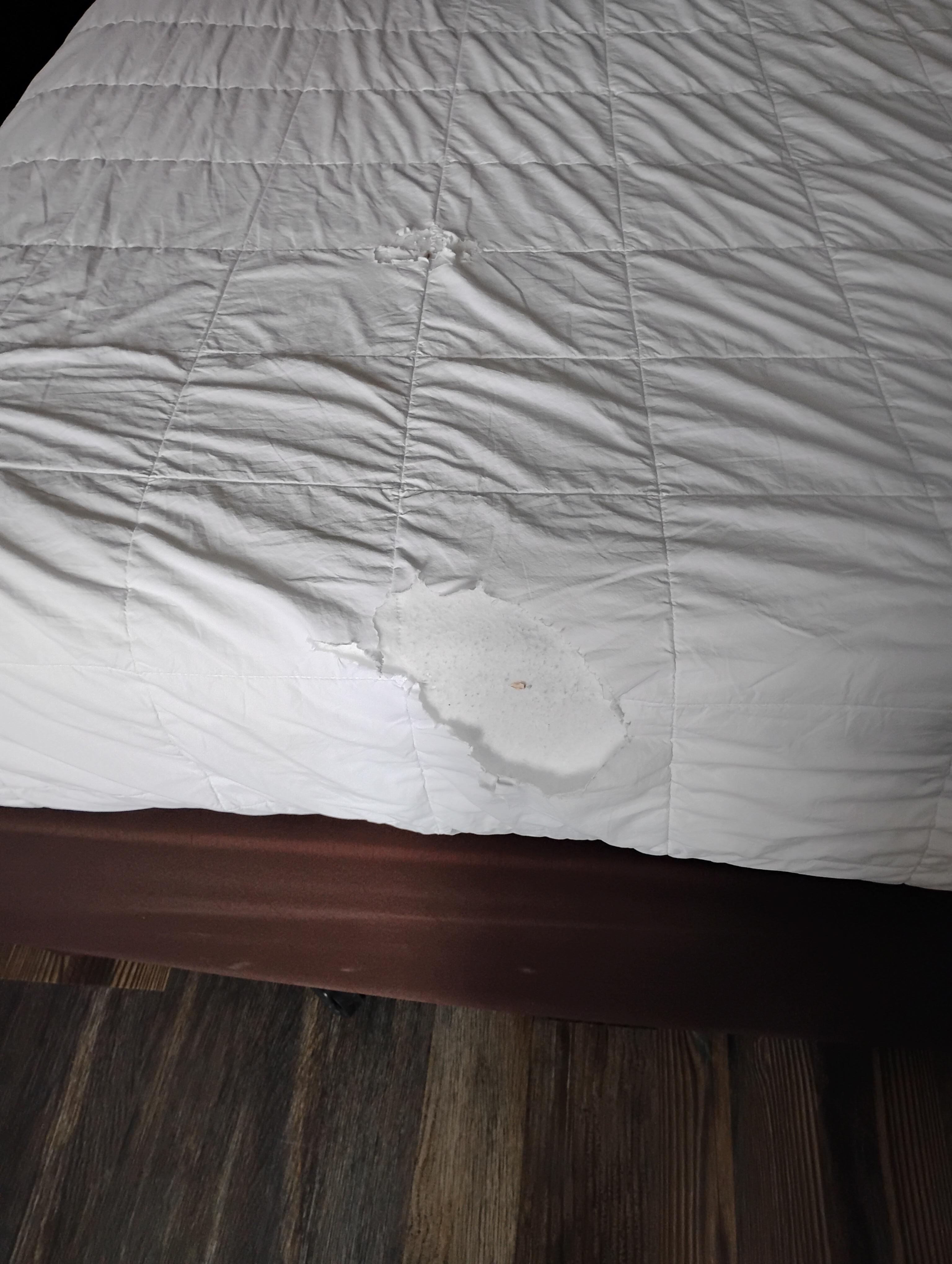 Obvious holes in the comforter bedding on the bed upon entering the room. There's no way housekeeping didn't see these huge holes in the bedding.