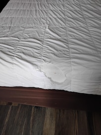 Obvious holes in the comforter bedding on the bed upon entering the room. There's no way housekeeping didn't see these huge holes in the bedding.