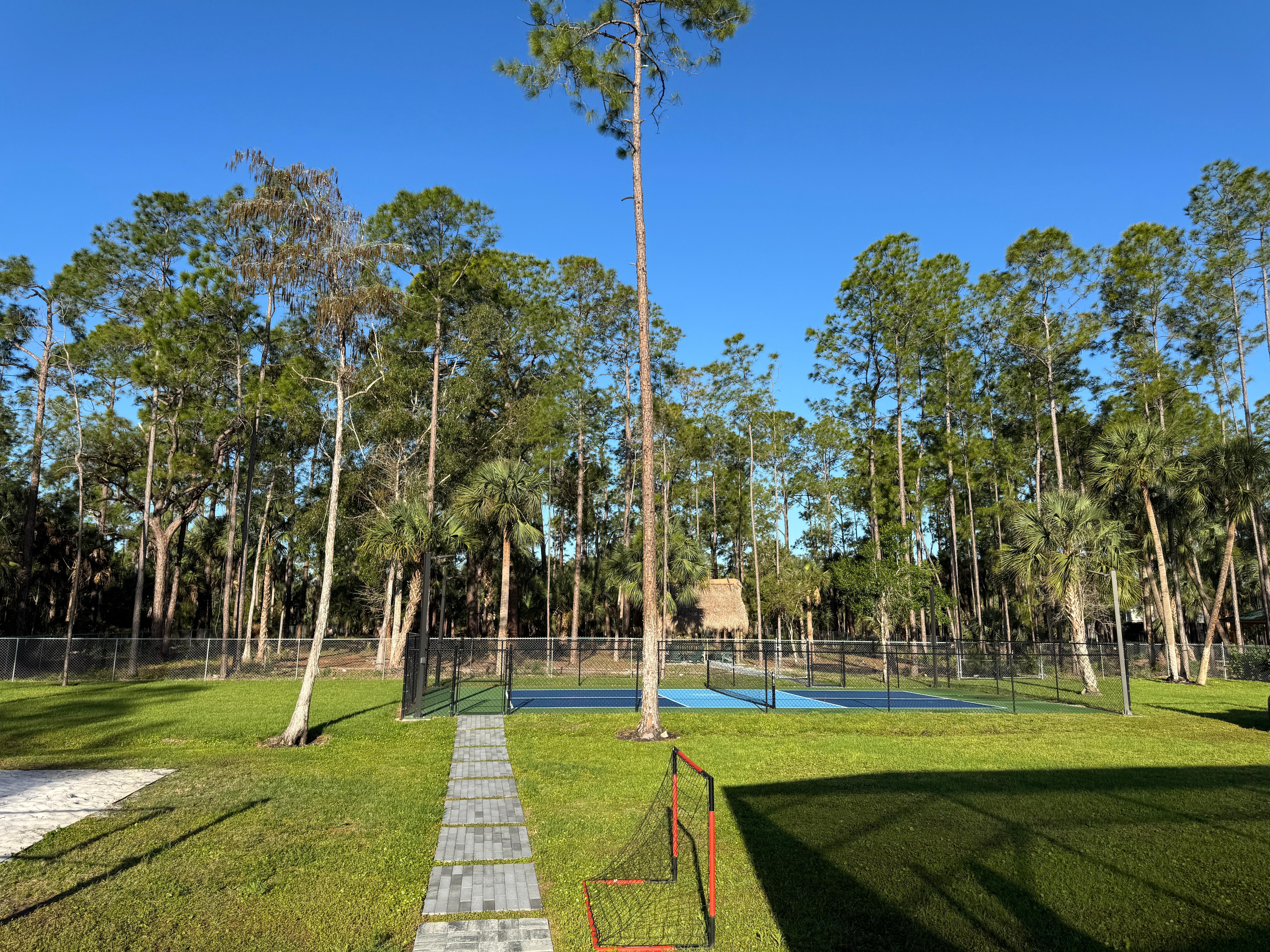 Lighted pickleball court in backyard 