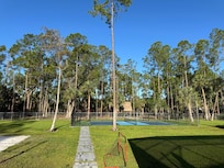 Lighted pickleball court in backyard